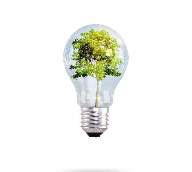 tarifa luz economica renovable